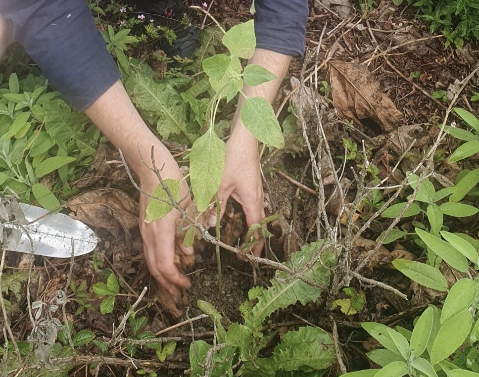 GOVERNANCE AND SYNTHESIS